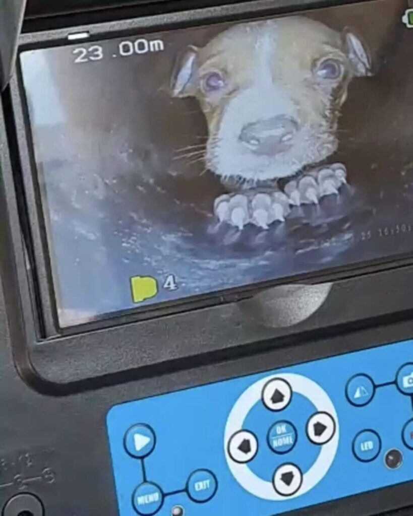 Petrus Simmana vurderer situationen ved røret