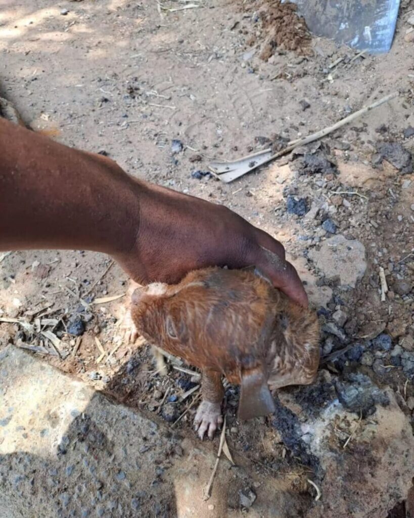 Redningsarbejdet skrider frem ved udløbet