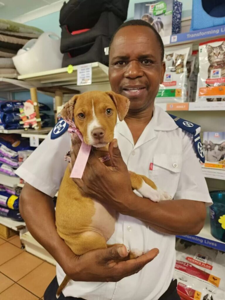 Pip hjemme igen og i bedring