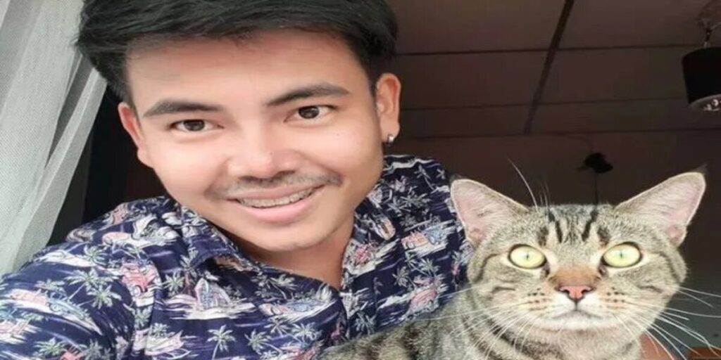 Kat sover fredeligt i sin seng